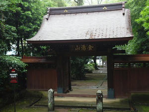 P7010474shuusei.JPG