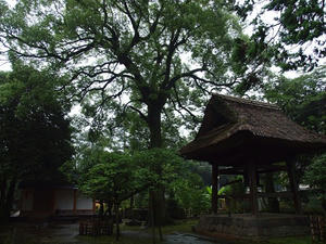 P7010470shuusei.JPG