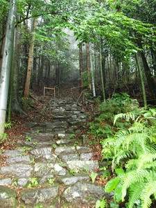 P7010504shuusei.JPG