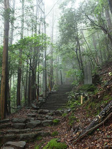 P7010505shuusei.JPG
