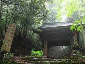P7010506shuusei.JPG