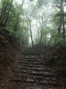 P7010508shuusei.JPG
