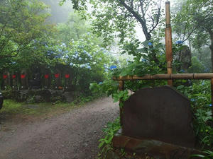 P7010511shuusei.JPG