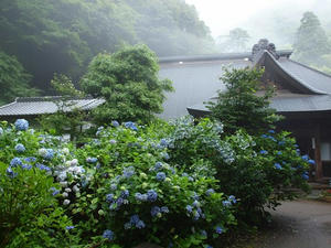 P7010518shuusei.JPG