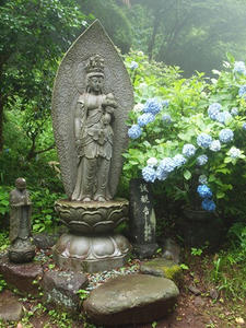 P7010513shuusei.JPG