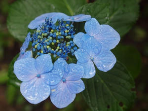 P7010548shuusei.JPG