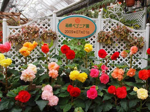 P7010580shuusei.JPG