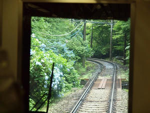 P7010656shuusei.JPG