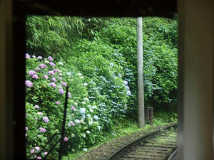 P7010688shuusei.JPG