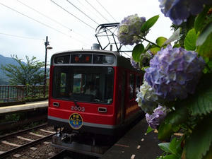 P7010697shuusei.JPG
