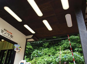 P7010711shuusei.JPG