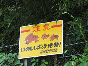 P7010705shuusei.JPG