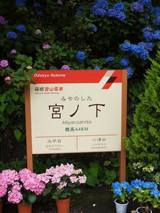P7010706shuusei.JPG