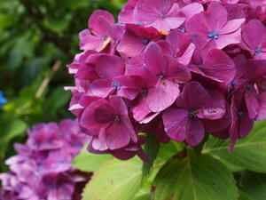 P7010704shuusei.JPG