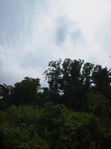 P7010712shuusei.JPG