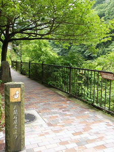 P7010744shuusei.JPG