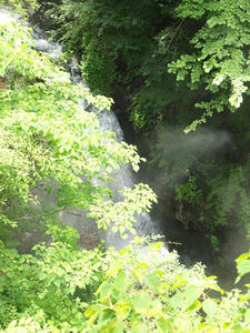 P7010748shuusei.JPG