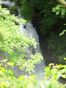 P7010751shuusei.JPG