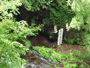 P7010761shuusei.JPG