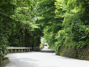 P7010765shuusei.JPG