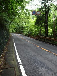 P7010766shuusei.JPG