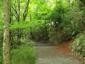 P7010769shuusei.JPG