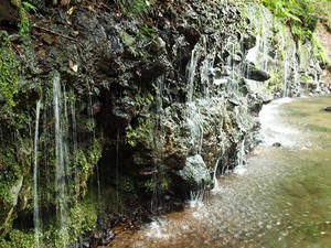 P7010778shuusei.JPG
