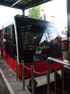 P7010788shuusei.JPG