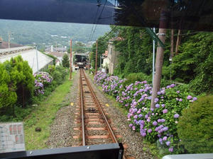 P7010794shuusei.JPG