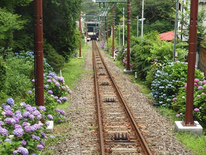 P7010796shuusei.JPG