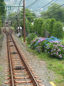 P7010805shuusei.JPG