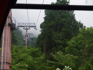 P7010818shuusei.JPG