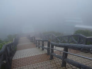 P7010842shuusei.JPG