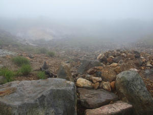 P7010846shuusei.JPG