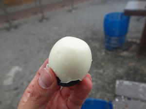 P7010865shuusei.JPG