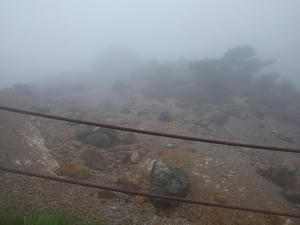 P7010867shuusei.JPG