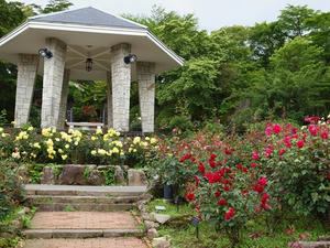 P7010933shuusei.JPG