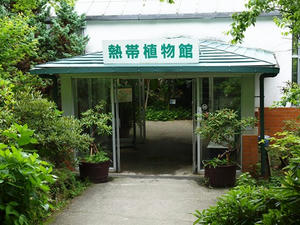 P7011044shuusei.JPG