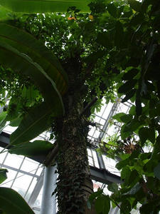 P7011036shuusei.JPG