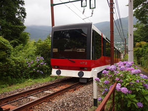 P7011066shuusei.JPG