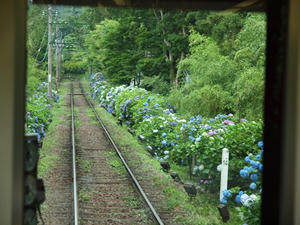 P7011076shuusei.JPG