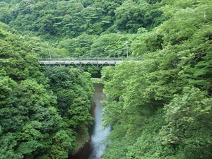 P7011161shuusei.JPG