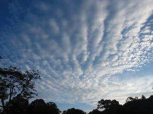 P7151913shuusei.JPG