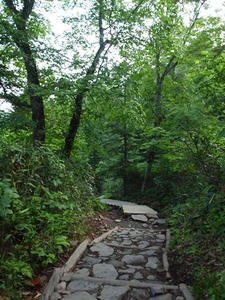 P7151916shuusei.JPG
