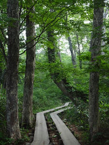 P7151960shuusei.JPG