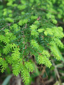 P7151939shuusei.JPG