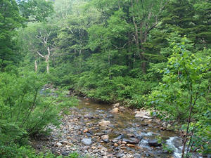 P7151958shuusei.JPG
