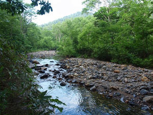 P7151974shuusei.JPG