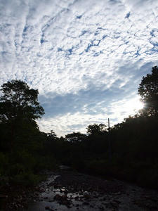 P7151988shuusei.JPG