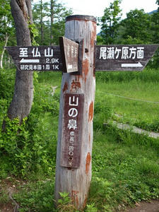 P7151999shuusei.JPG